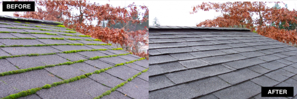 nettoyage toiture logo